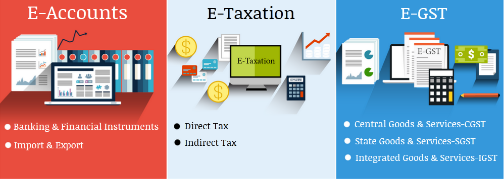 SAP FICO Course with GST Training in Delhi, Independence Day Offer till 15 Aug,