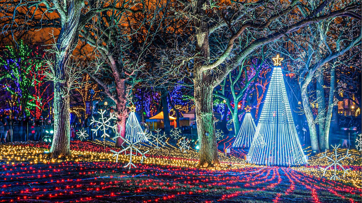 BYOB Holiday Light Party Bus Tour. Friday, Dec 15th
