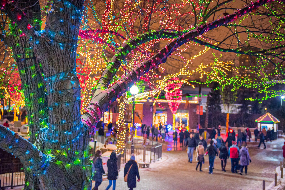 BYOB Holiday Light Party Bus Tour. Friday, Dec 23rd