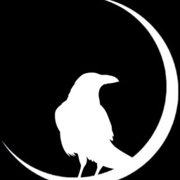 NiteSkape Events logo